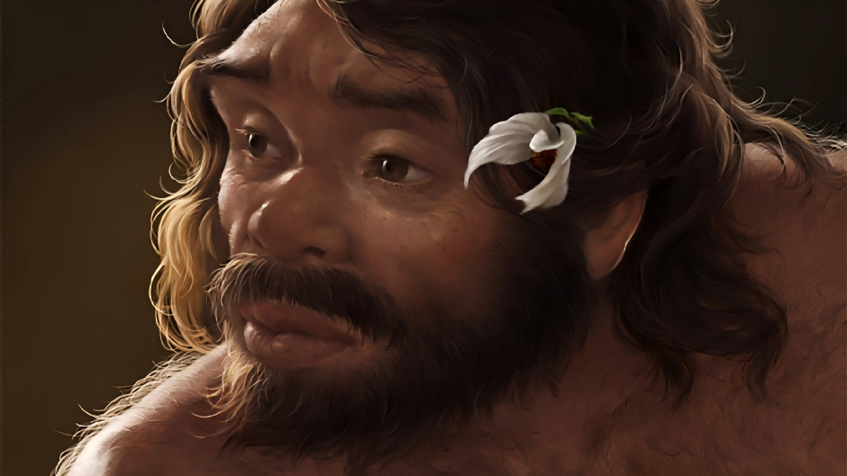 百万年前头骨化石改写人类家谱 ?中国新研究刷新人类演化时间线，证实丹尼索瓦人属于龙人支系